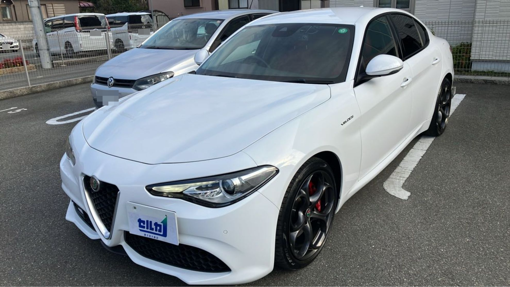 2025年12月成約のジュリア のメイン画像