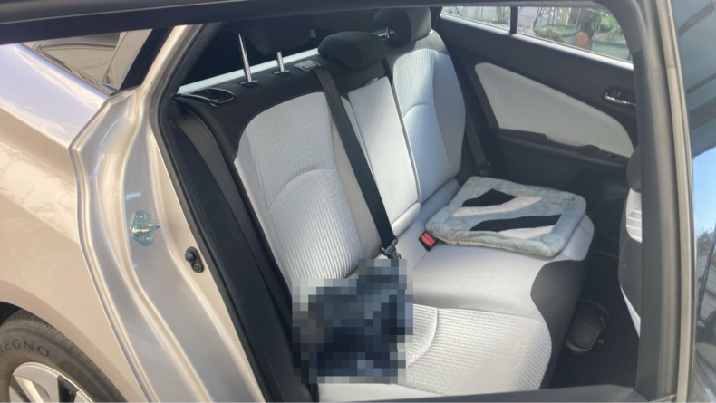 内装後方シート