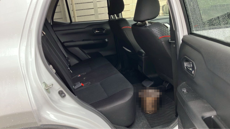 内装後方シート