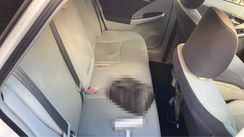 内装後方シート