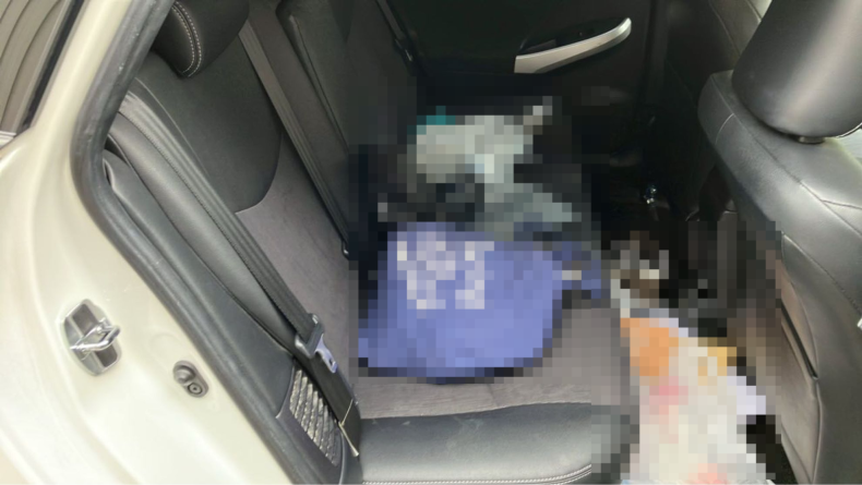 内装後方シート