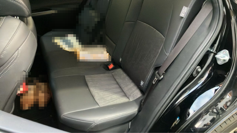 内装後方シート