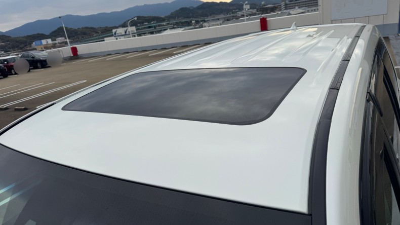 正面ルーフ