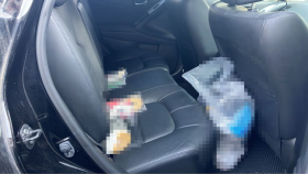 内装後方シート