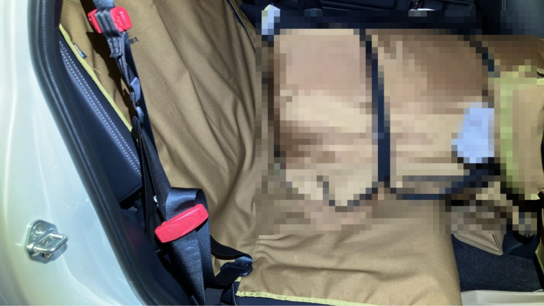 内装後方シート