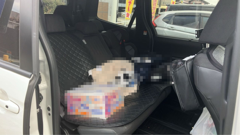 内装後方シート