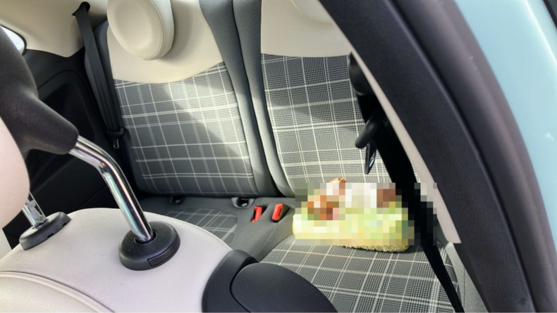 内装後方シート