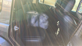 内装後方シート