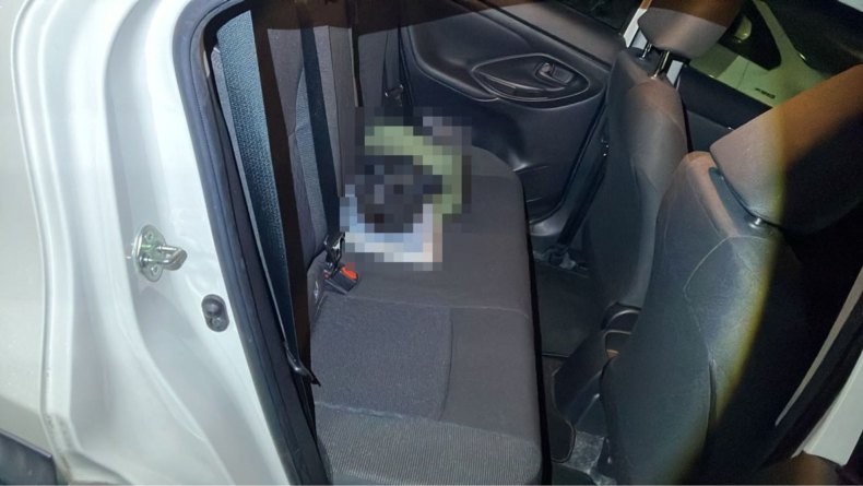 内装後方シート