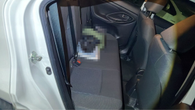 内装後方シート