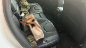 内装後方シート