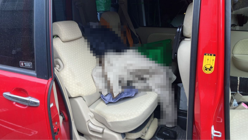 内装後方シート