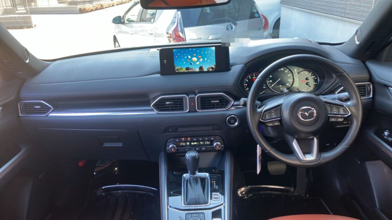 内装インパネ全体