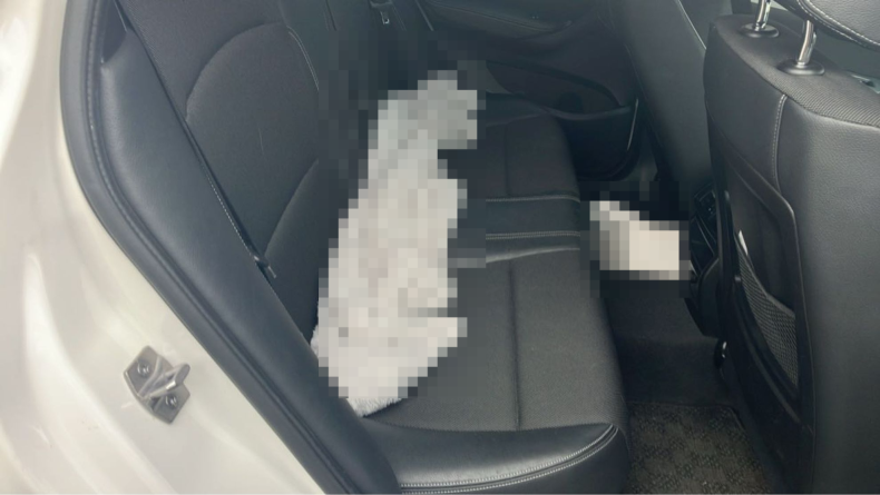 内装後方シート