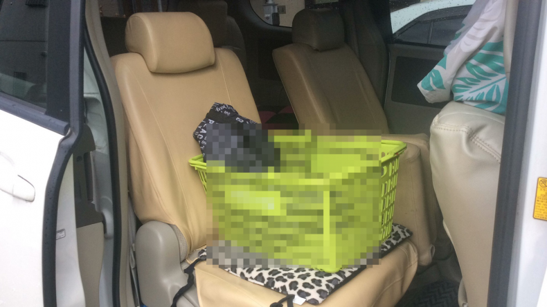 内装後方シート