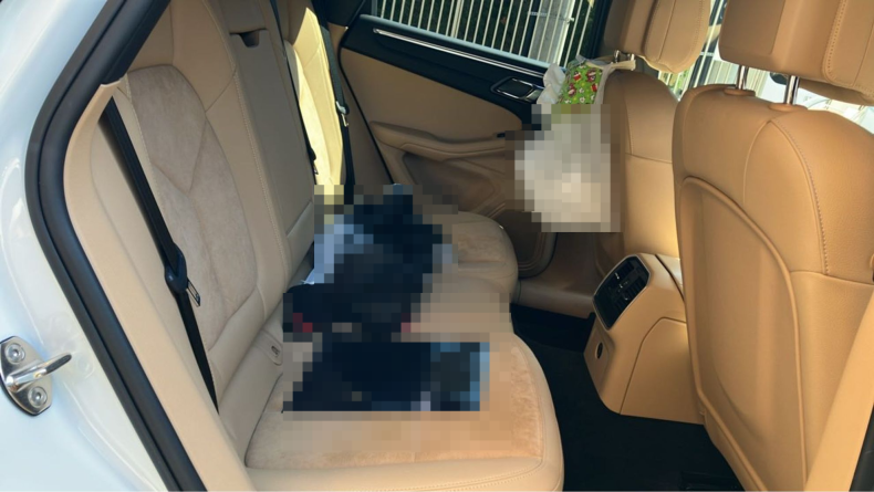 内装後方シート