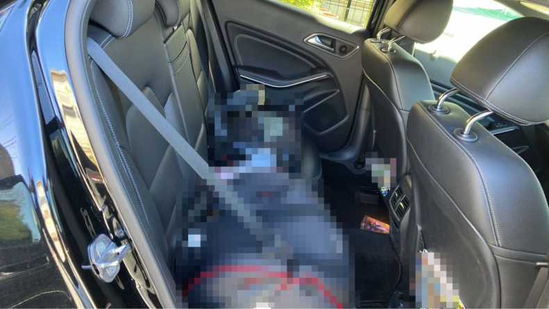 内装後方シート