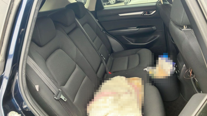 内装後方シート