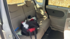 内装後方シート