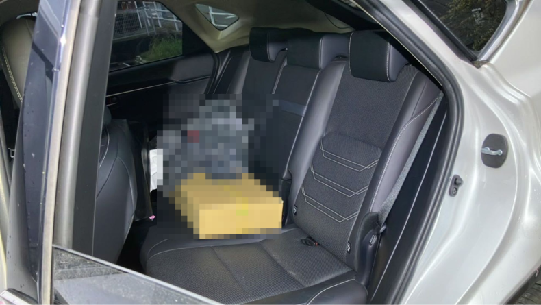 内装後方シート