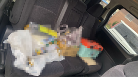 内装後方シート