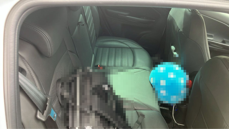 内装後方シート