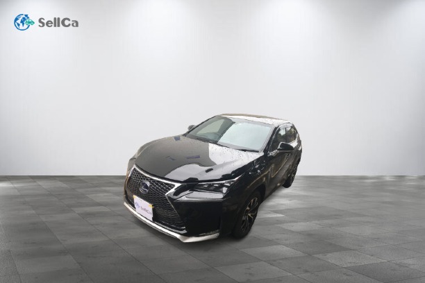 レクサス/ＮＸ-4157