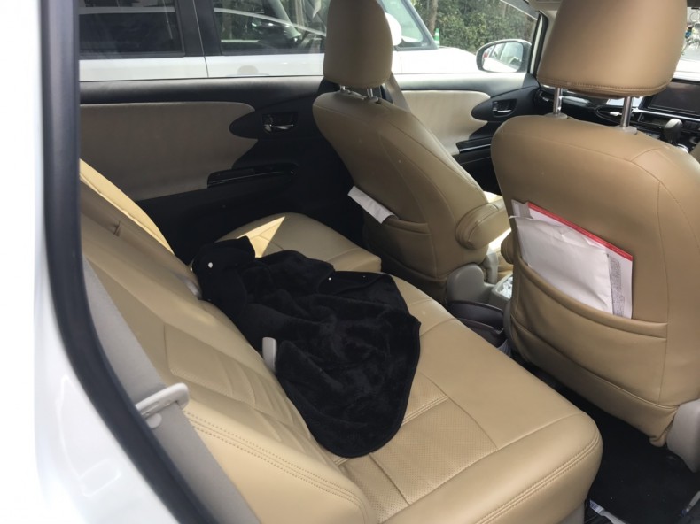 内装後方シート