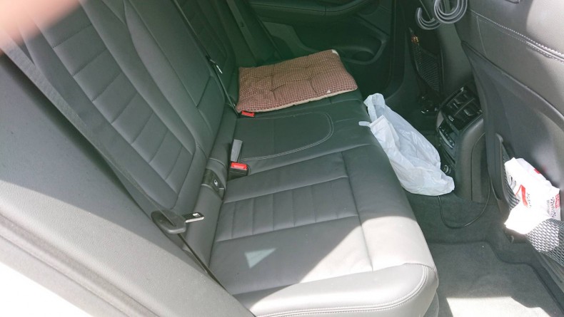 内装後方シート