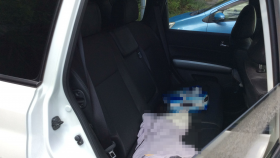 内装後方シート