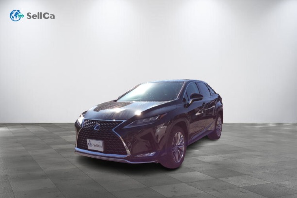 レクサス/ＲＸ-80602