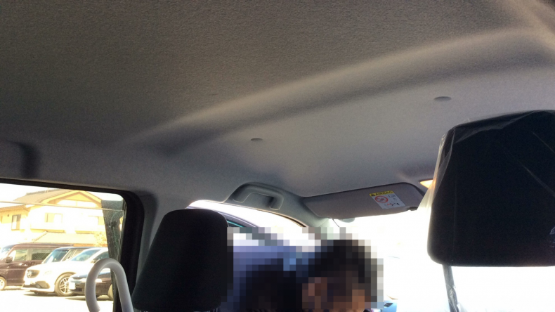 内装ルーフ