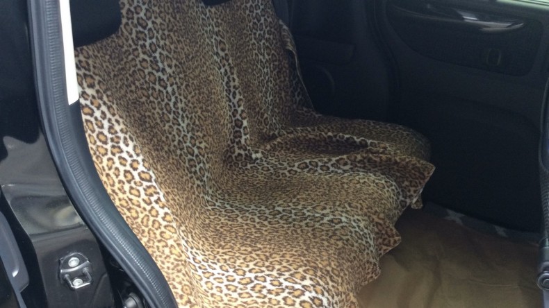 内装後方シート