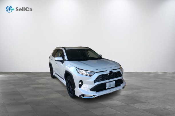 トヨタ/ＲＡＶ４-89509