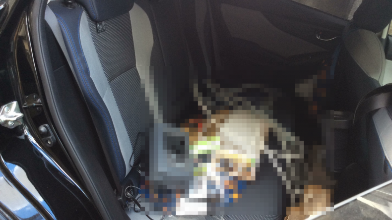 内装後方シート