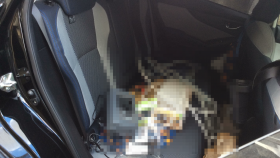 内装後方シート