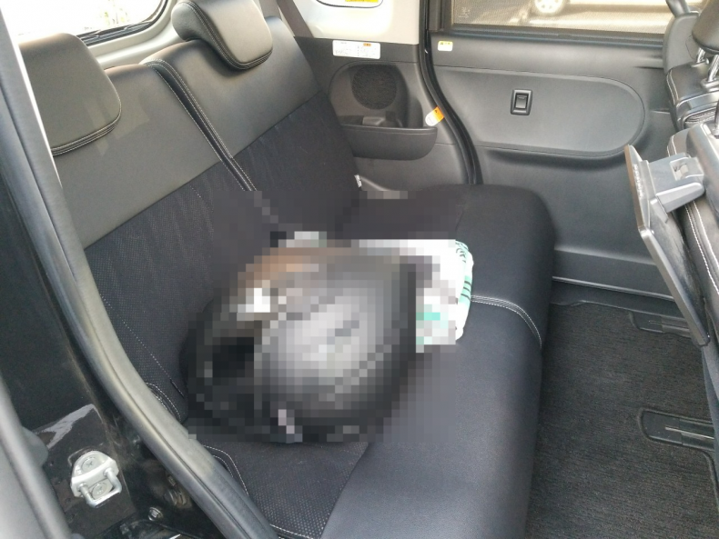 内装後方シート