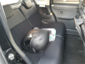 内装後方シート