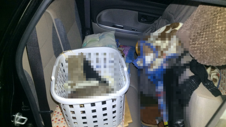 内装後方シート