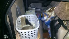 内装後方シート