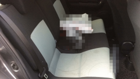 内装後方シート