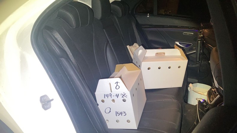 内装後方シート