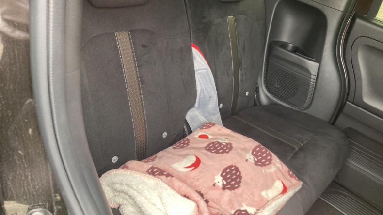 内装後方シート