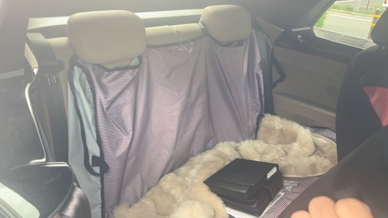 内装後方シート