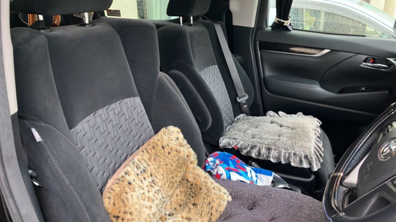 内装前方シート