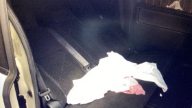 内装後方シート