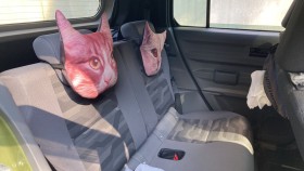 内装後方シート