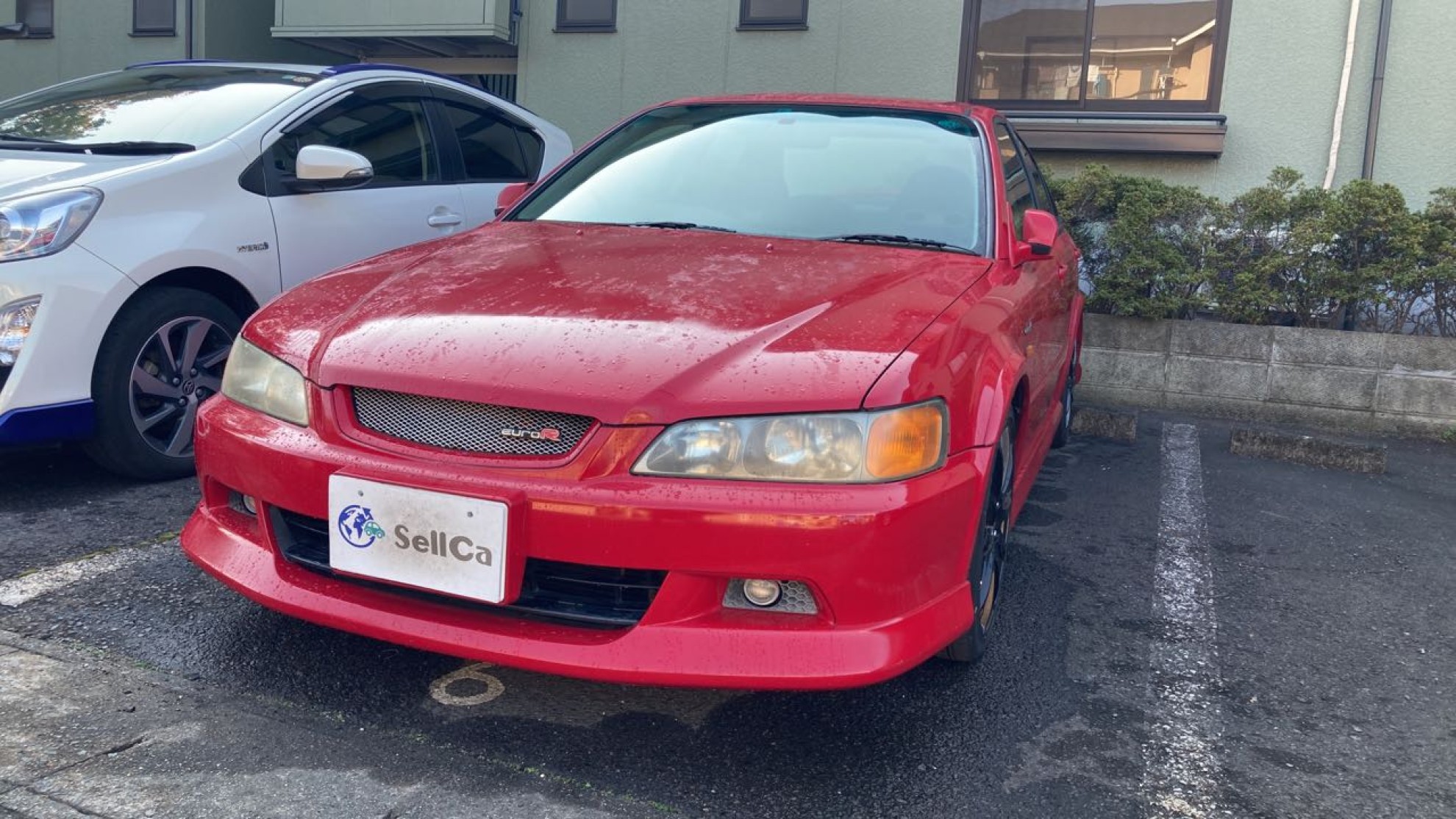 2022年11月成約のアコード ユーロＲのメイン画像