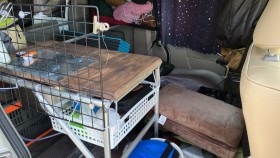 内装後方シート