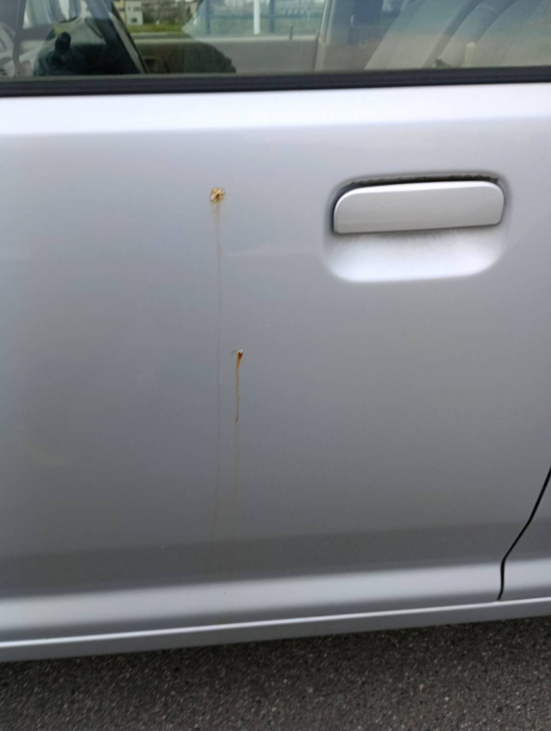 内装後方シート